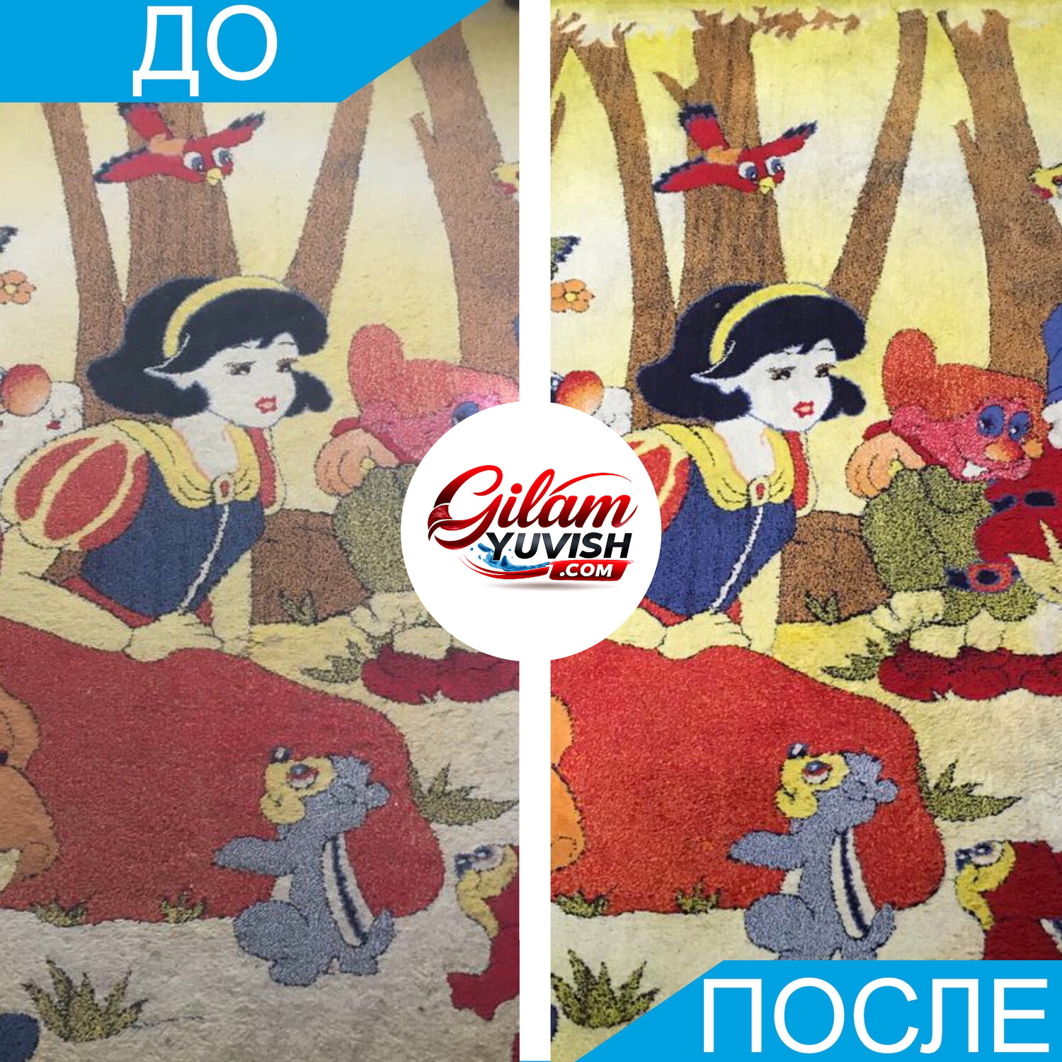 Gilam yuvish — dog' ketkazish natijasi 2